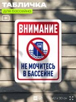 Табличка для бассейна "В бассейн не дудонить", на пляж, для общественной и частной зоны отдыха, информационная, 40х30 см, Silver Plane x Айдентика Технолоджи