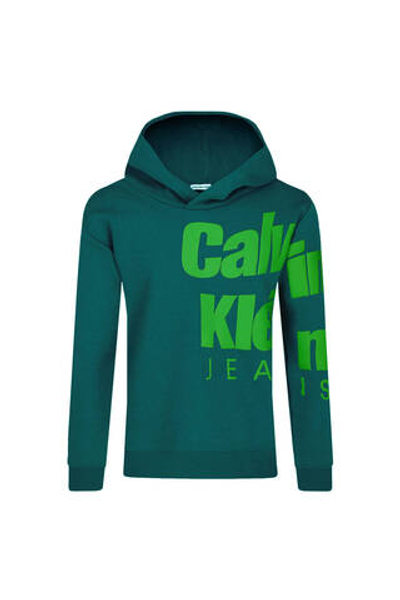 Худые Calvin Klein Jeans - зеленый(IB0IB01860)