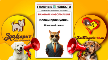 Осторожно: в Омске проснулись клещи!