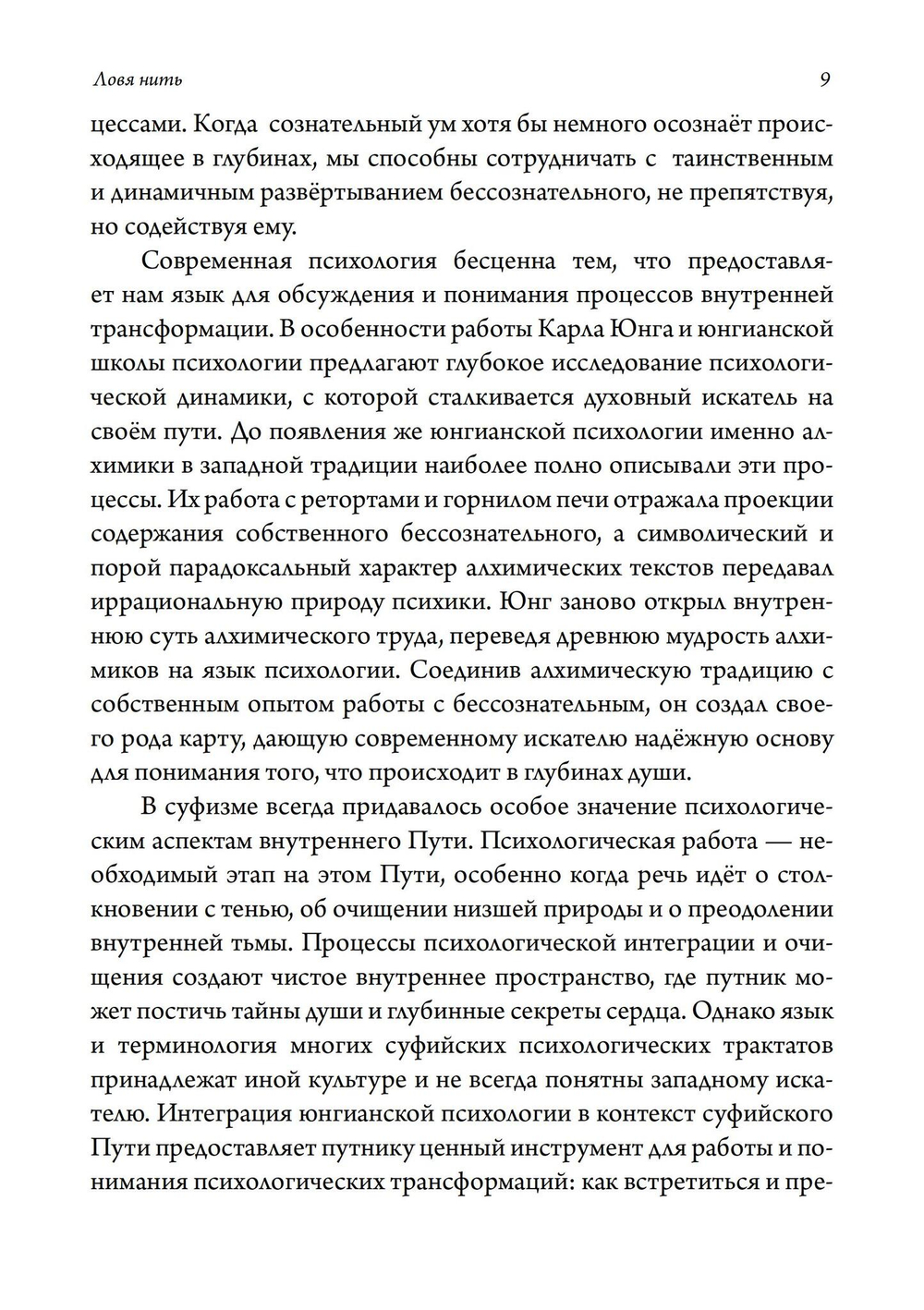 Ловя нить: суфизм, работа со сновидениями и юнгианская психология (PDF)
