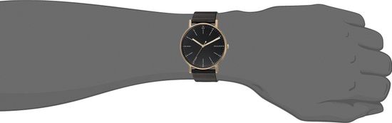 Мужские часы Skagen SKW6401