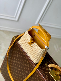 Louis Vuitton Capucines Mini