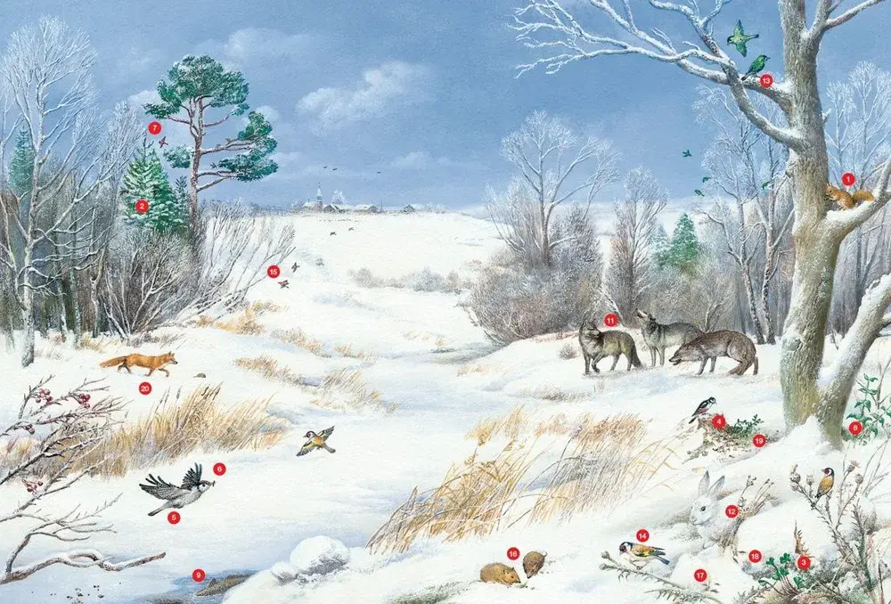 Времена года. Иллюстрированная энциклопедия