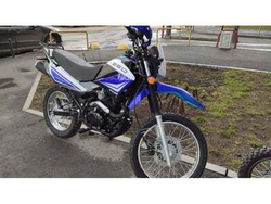 Мотоцикл кроссовый эндуро RACER PANTHER LITE RC250GY-C2A