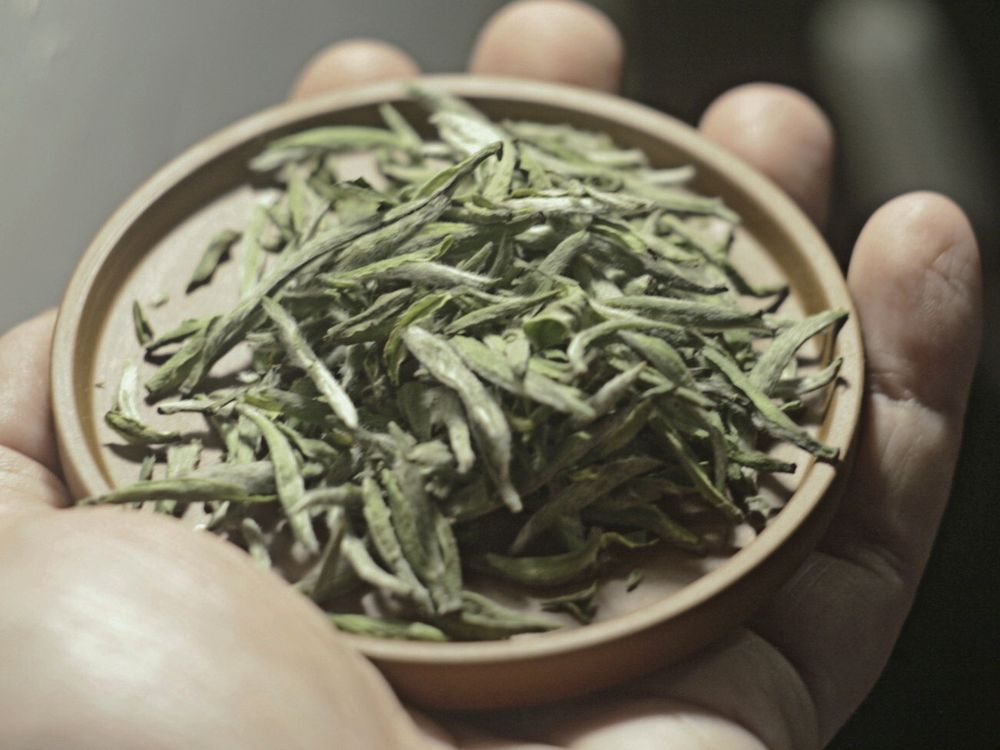 Серебряные Иглы (Бай Хао Инь Чжень) №20, весна 2025