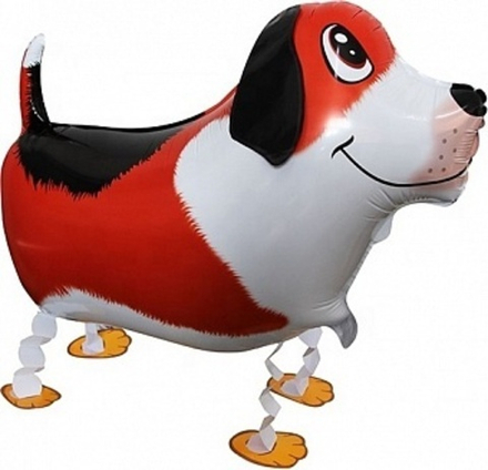 К ХОД Бигль (24''/61 см)