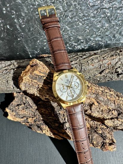 Мужские часы Royal London 41519-02