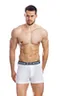 Мужские трусы BB32 Белый-Темно-синий-Серый