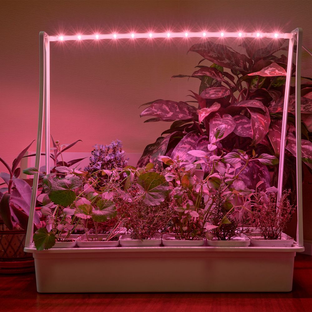 ULT-P34N-10W-SPSB IP65 WHITE 12 Набор Минисад. светильник для растений светодиодный с подставкой. Спектр для рассады и цветения. 12 кашпо в-к. белые. TM ФитоЛето