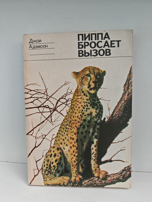 Пиппа бросает вызов