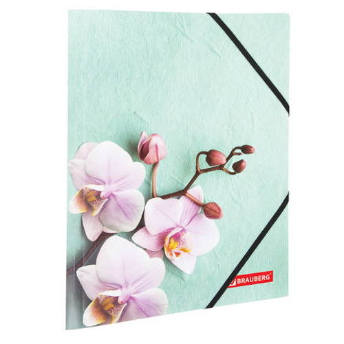 Папка на резинках BRAUBERG "FLOWER",  А4,  цветная печать,  до 300 листов,  500 мкм,  228032