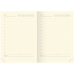 Ежедневник недатированный Delucci А6 (UD1_90601) 4