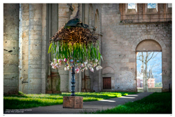 Floral Poetry in Normandy