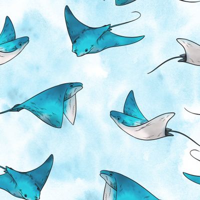 Акварельные скаты