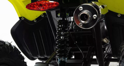 Квадроцикл MOTOLAND (МОТОЛЕНД) 125 RAPTOR A