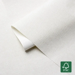 Обои виниловые на флизелине CANVAS артикул 98841 метровые, моющиеся, универсальные, для кухни, для спальни, для гостиной, для детской,1.06*10.05 м