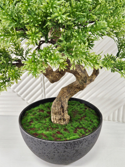 искусственный бонсай москва