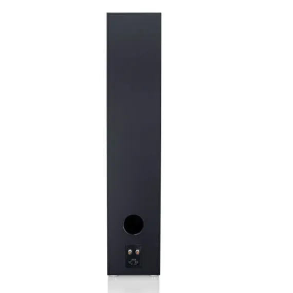 Canton GLE 100 Black