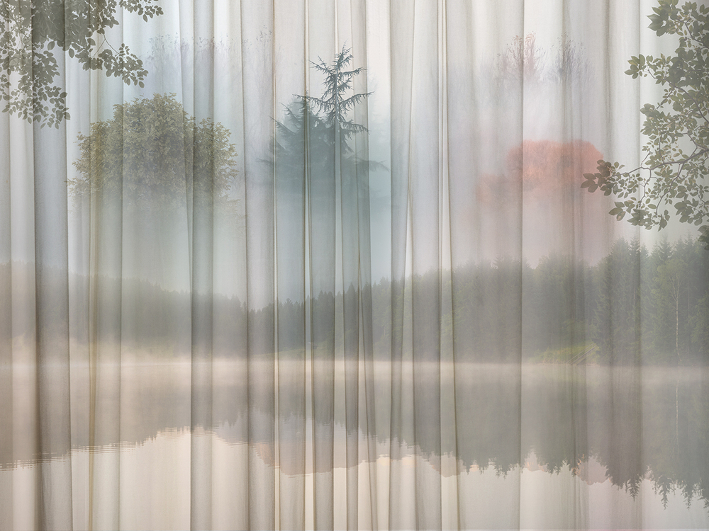 Коллекция FORESTA