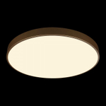 Накладной светильник Loft it Flims 10228/B