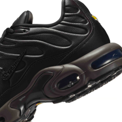 Nike Air Max Tn Plus Premium Paris