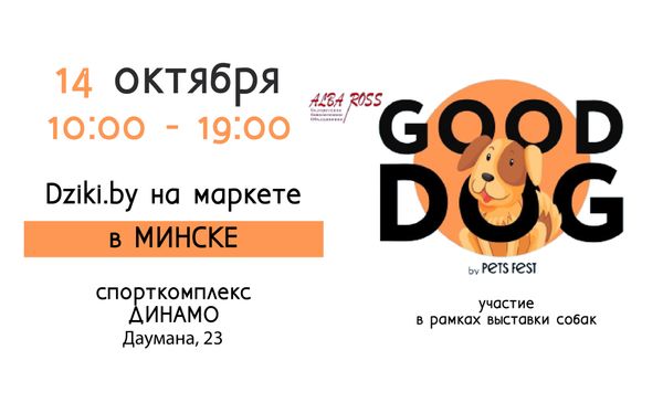 Dziki.by в Минске на Международной выставке собак