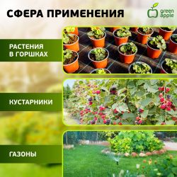 GATZ010-01 GREEN APPLE Таймер с ЖК дисплеем | GREEN APPLE