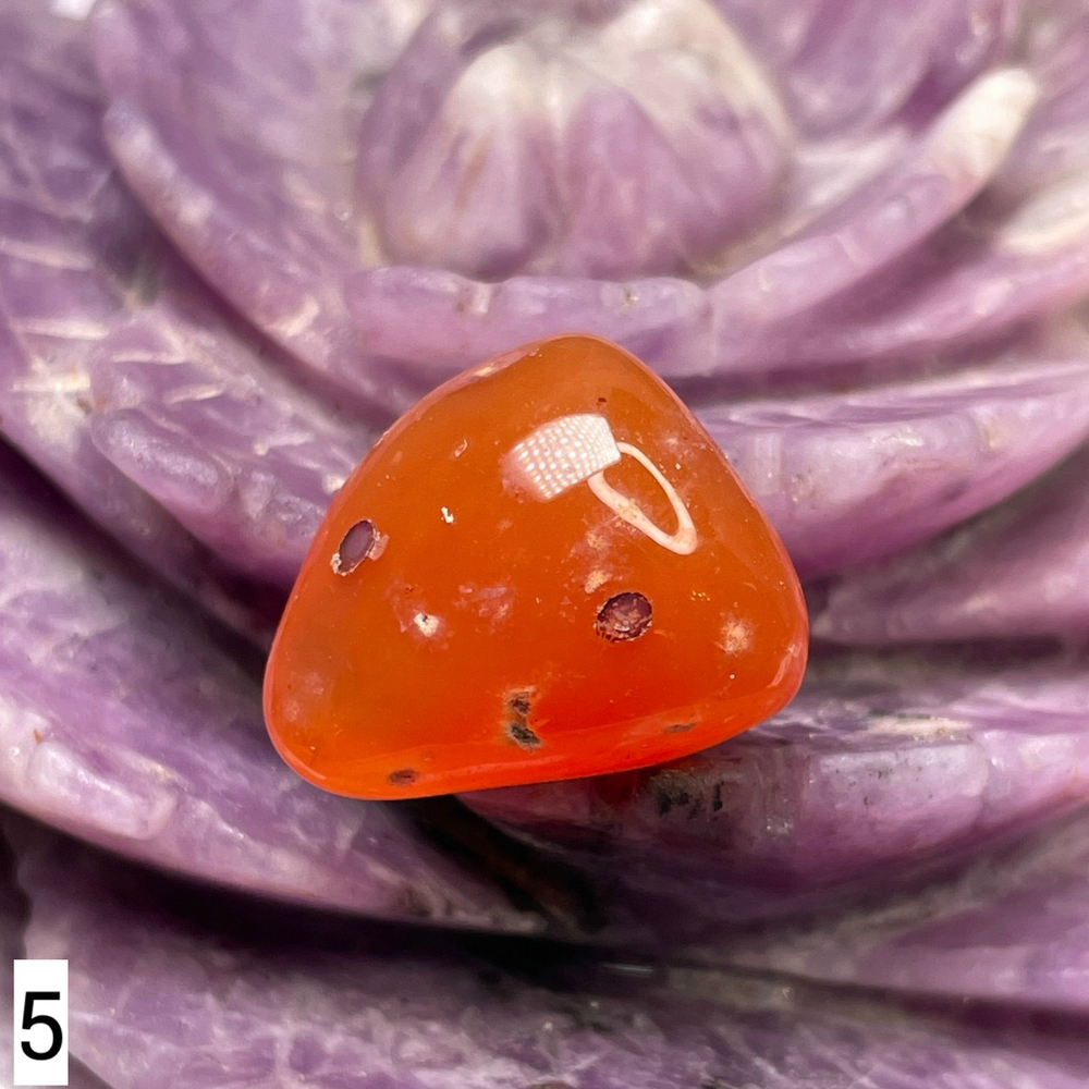 64167 Сердолик Галтовка 18-20мм №5--5