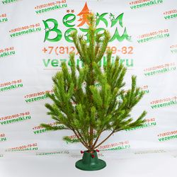 Фотогалерея