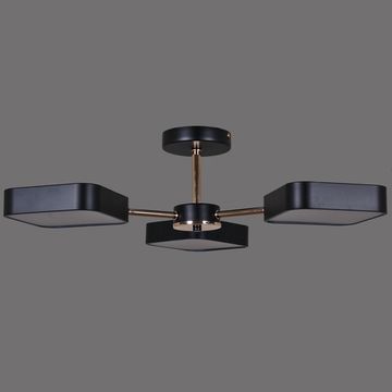 03360-0.3-03 BK+FGD светильник потолочный