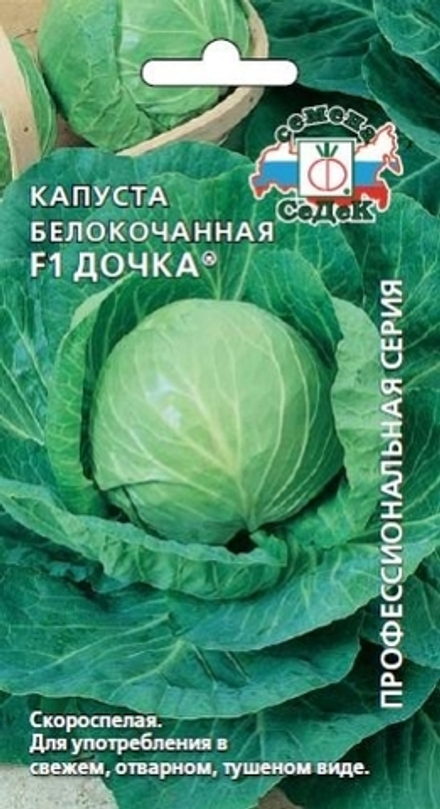 Капуста б/к Дочка F1 Седек