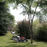 Газонокосилка Honda HRX426 C PDEH