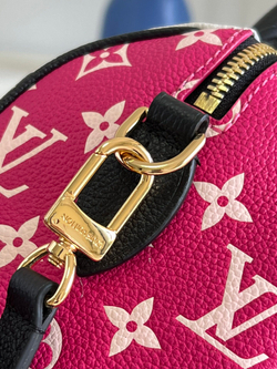 Louis Vuitton Speedy 20