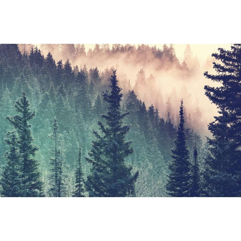 Пазл Moment Forest 200 шт. 129584