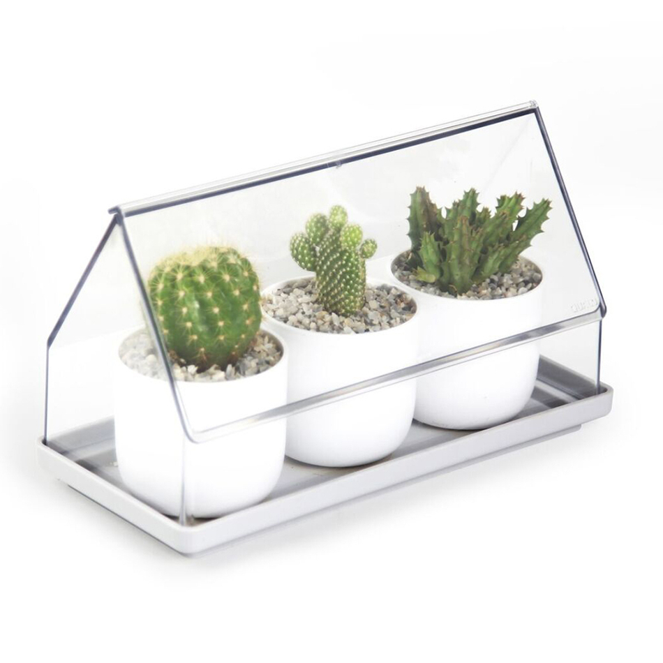 Лоток для выращивания растений micro green house, прозрачный