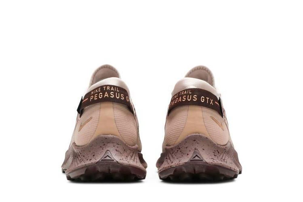 Кроссовки Nike Pegasus Trail 2 Gore-Tex (Женская размерная сетка)