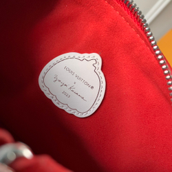 Louis Vuitton Speedy 20