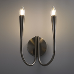 Настенный светильник (бра) Freya FR5253WL-02N