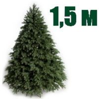 Высота 150 см