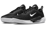 Кроссовки Nike Court Zoom Nxt Hc