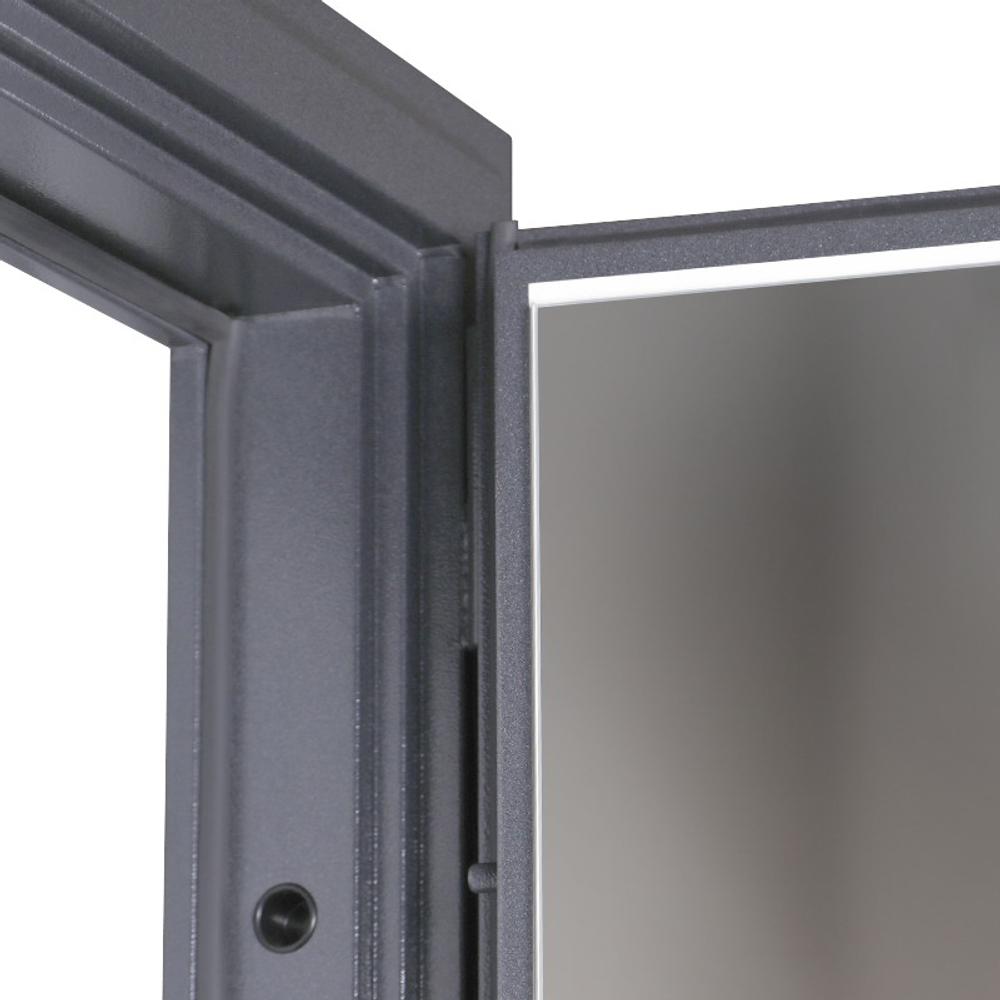 Стальная дверь  "Беркут" с зеркалом