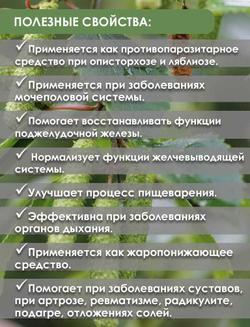 Кора осины, экстракт 60 капсул