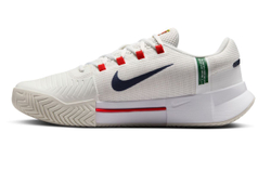 Мужские кроссовки теннисные Nike Zoom GP Challenge 1 - белый