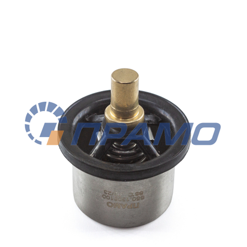 650.1306100 (ПРАМО) Термостат б/к