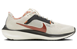 Кроссовки Nike Air Zoom Pegasus 40 (Женская размерная сетка)