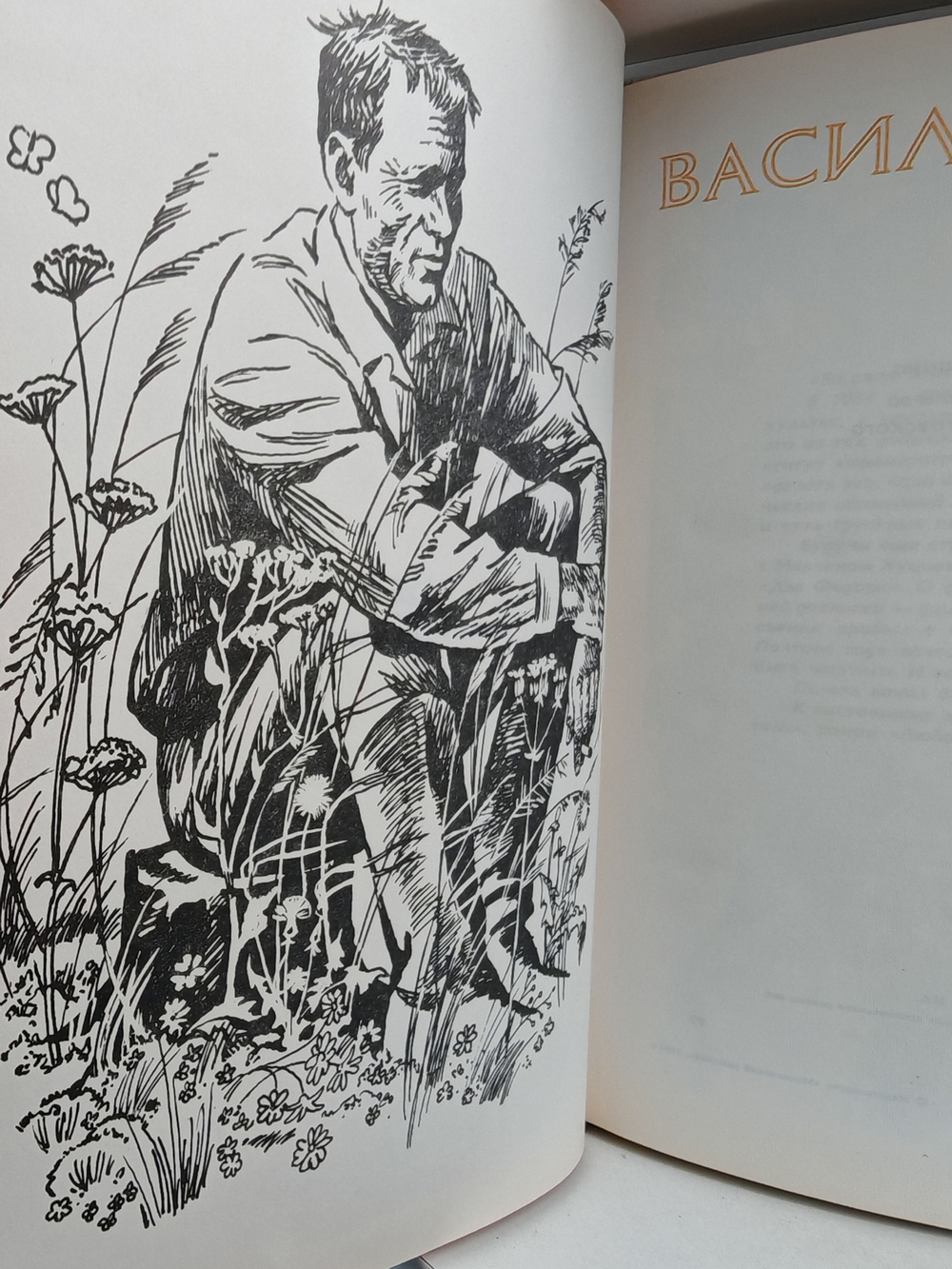 Василий Шукшин. Рассказы