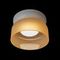 Потолочный светильник Loft IT Totem 10466 Amber matte