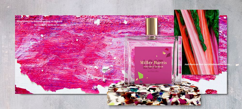 Miller Harris Lost In The City