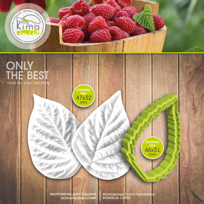 Малина | ежевика лист маленький