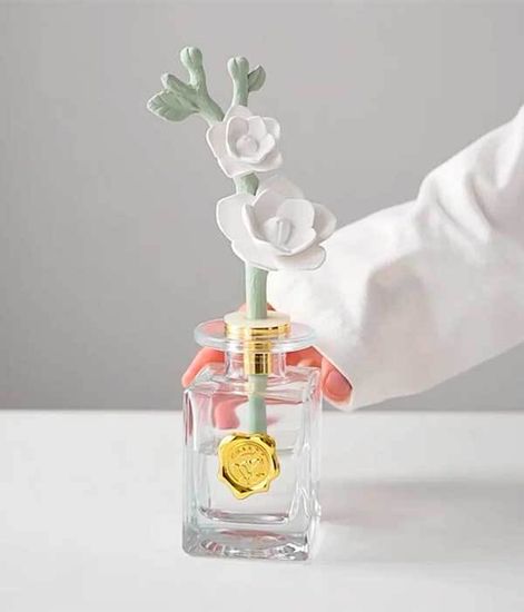 Fantasy Gardenia, ароматический диффузор с необычными палочками, Chando